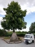 IMG_20220901_171851_015114