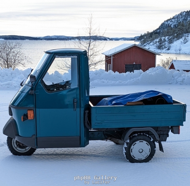 WinterAPE_1