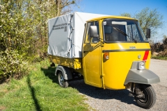 ape P501 1977