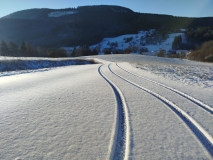 WhatsApp Image 2026-01-03 at 12.25.16