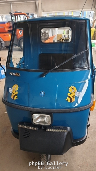 Ape TL6T