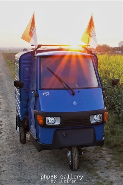 Sonnenaufgang im Rapsfeld