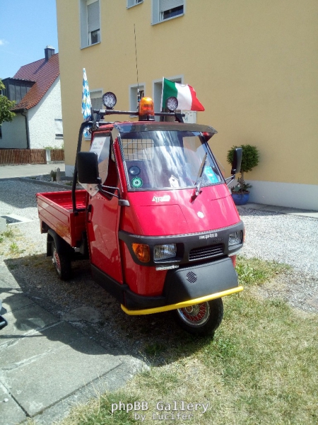 Ape mit TM Spiegel 2