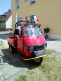 Ape mit TM Spiegel 2