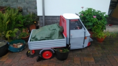 IMG-20191008-WA0020